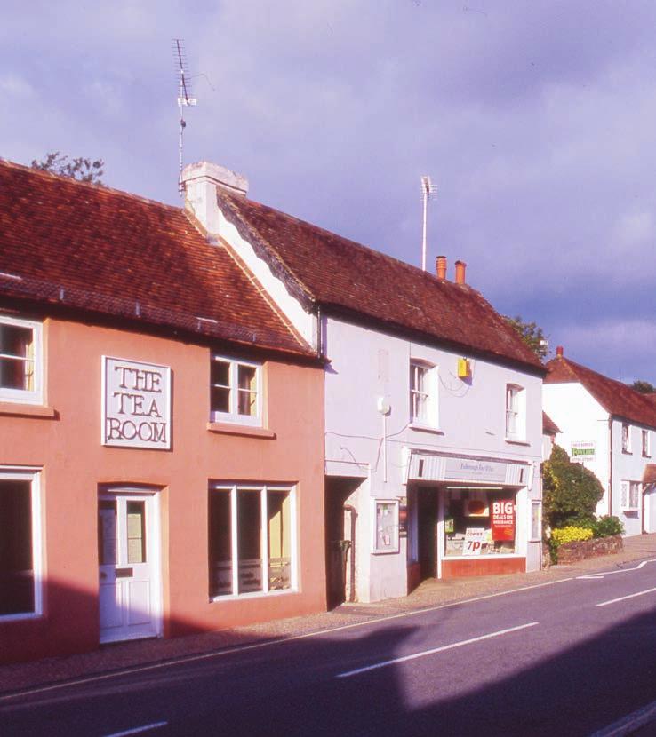 Pulborough runs, have dominated the history and development of the