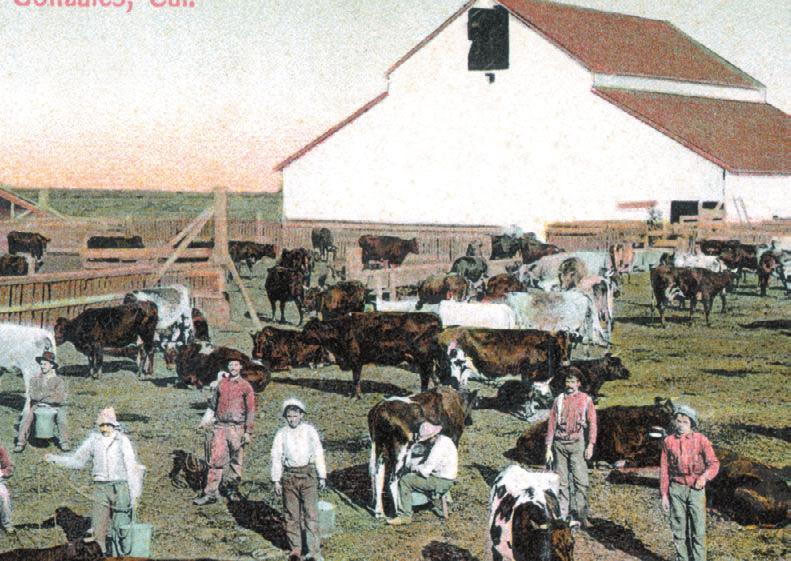 Many Swiss-Italian immigrants came to this area near Chualar and Soledad in the last century, bringing with them the dairying and farming skills which once made Monterey County the state's largest