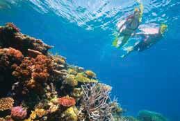 Holiday Packages 4 Night Cairns Experience From $665 Experience the best of the reef and rainforest with this quintessential four night package.