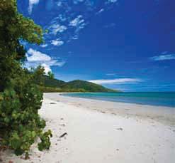 4 nights accommodation in Palm Cove Return coach transfers from Cairns Airport Full day Outer Barrier Reef cruise Full day Cape Tribulation and Daintree tour ACCOMMODATION: Standard: