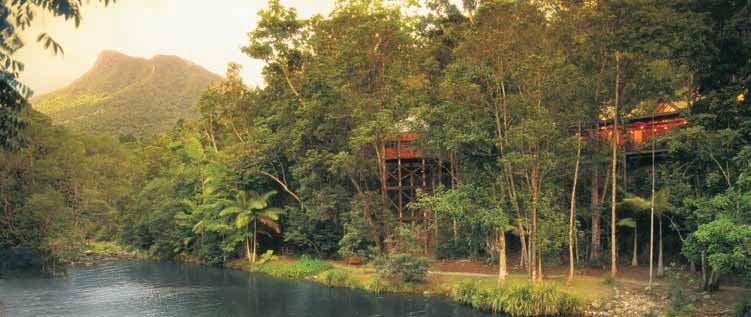 Daintree TABLELAND, DAINTREE AND COOKTOWN Silky Oaks Lodge From $384 Daintree Rainforest, Mossman River Gorge Experience the ancient wonders of the rainforest, at Silky Oaks Lodge.