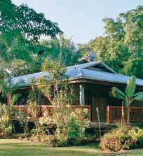 7 20 Daintree Road, Daintree Rainforest Free Wi-Fi (public areas) Daintree Spa Restaurant Pool Parking Specialised cultural tours and indigenous activities (extra charge) Air-conditioning In-room