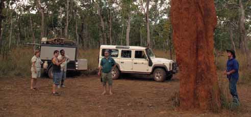 Cape York Safaris 12 Day Cruise and 4WD Cape York HIGHLIGHTS: Thursday and Horn Islands Cape York Australia s most northerly point Twin Falls Bramwell Station Lakefield National Park Daintree