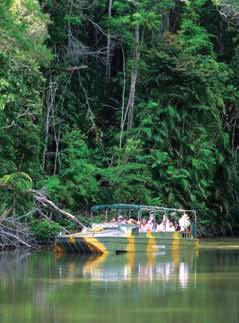 Tour Packages TOURS 2 Tour Reef and Kuranda 2 Tour Reef, Island & Rainforest 2 Tour Reef and Rainforest Explore two natural wonders on this two day tour package.