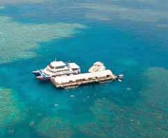 Travel to the reef onboard a first class, air-conditioned catamaran, then enjoy about four hours exploring the reef.