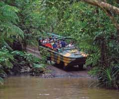 There s so much to see and do including an amphibious Army Duck tour of the rainforest, the Koala and Wildlife Park and the thrills of the Pamagirri Aboriginal Dance performance.