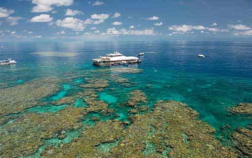 Reef Cruises TOURS Reef Magic Cruises, Outer Great Barrier Reef Reef Magic Cruises has exclusive access to the Marine World outer reef activity platform.
