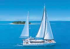 5 hours moored at Low Isles lagoon Use of snorkelling equipment and tuition Glass bottom boat tour Guided snorkel tour Island heritage walk Maximum 33 guests Buffet lunch Return transfers from
