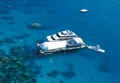 An idyllic, unspoilt coral cay island in the Great Barrier Reef, just one hour s sailing from Port Douglas.