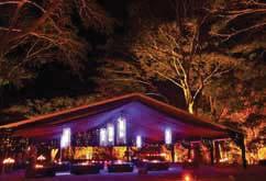 Evening Tours TOURS Spectacular Illusionist Show Flames of the Forest Tjapukai by Night Prepare yourself for a heart pounding night of mystery and suspense created by world renowned illusionist Sam