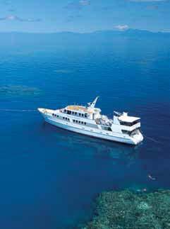 Extended Cruises and Tours 2 Day Coral Sea Dreaming 3 Day Cod Hole & Ribbon Reefs 2 Day Cooktown Explorer HIGHLIGHTS: World Heritage Listed Daintree National Park Daintree River Cable Ferry crossing