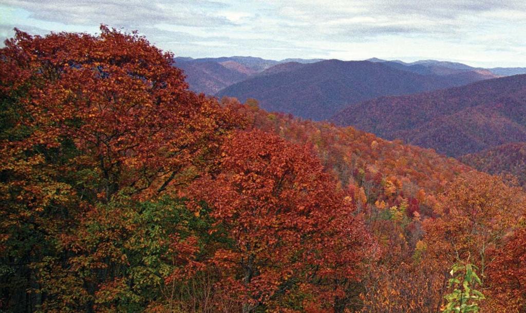As you read, look for: the features of the Mountains region vocabulary terms elevation, bald, cove Travelers from the east see North Carolina s mountains long