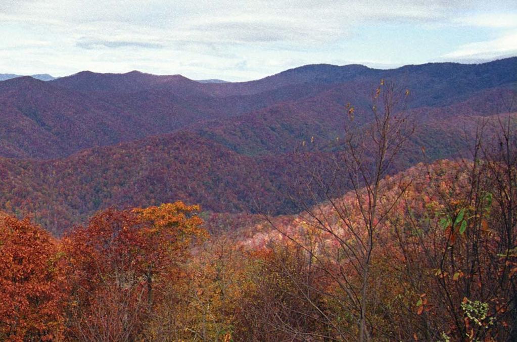 The Blue Ridge forms the eastern boundary of the Appalachian Mountains, some of the oldest in the world.