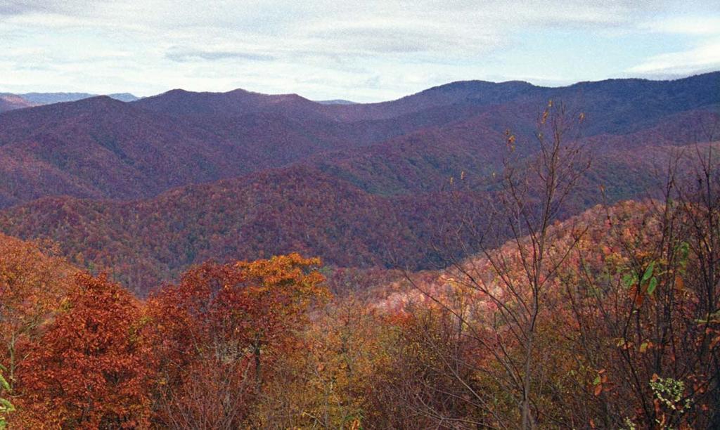 The Blue Ridge divides the Piedmont from the Mountains region in the state.