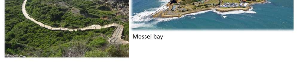 Standardna tura Avanturistička tura 7. dan /četvrtak/26.4.2018 St. Blaize Trail u Mossel Bay-u Doručak. Odlazak busom (140km, 2h) u Mossel Bay. Pješačenje 5h-6h uz obalu stazom St.
