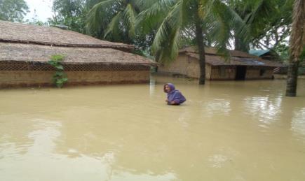 Shelter In Damushia,Konakhali, BM Char, East boro bhaola and Laxmi Char are in the worst position on the context of shelter. Major portion of the poor people household are damaged.
