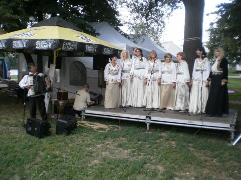 Blagojević on accordion Folk
