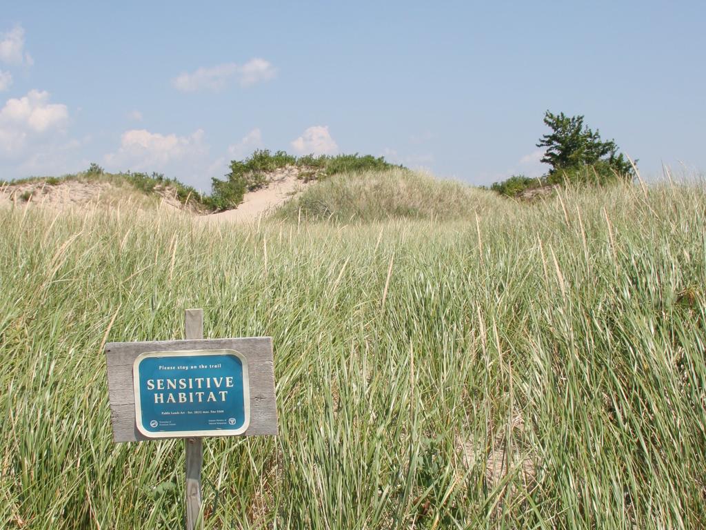 Coastal Dune Protection along Ontario s Great Lakes Coast Great Lakes