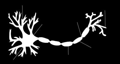 Metode klasifikacije tuzijazam izazvan neuroskim mrežama su učinili da se ovaj period zove i zlatni period neuronskih mreža. Minsky i Seymour Pappert su prvi prepoznali probleme neuronskih mreža.
