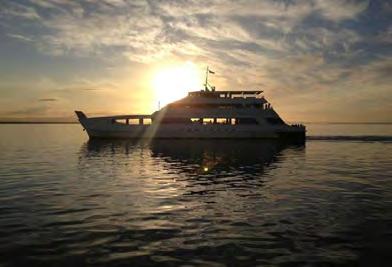 HERON ISLAND RESORT GLADSTONE APT - HERON ISLAND - LAUNCH ONE WAY INCL COACH MONDAY, 24 SEPTEMBER 2018 10:35 AM CONFIRMED TRANSPORT A ferry is a merchant vessel used to carry passenger across a body