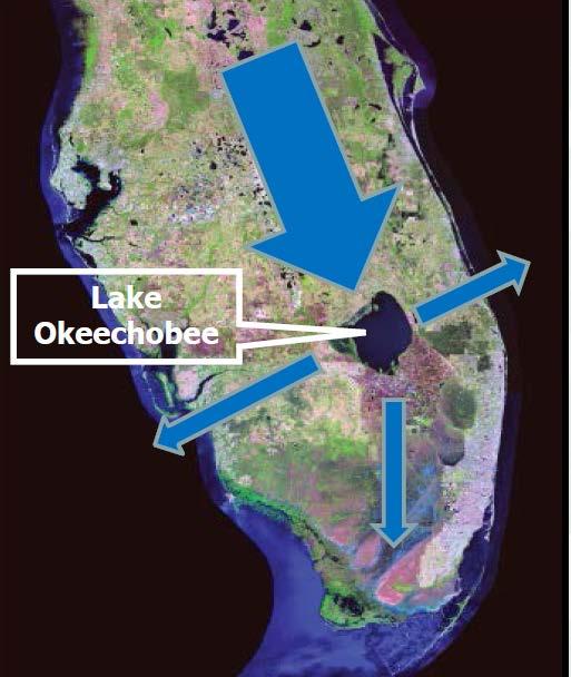 Herbert Hoover Dike Lake Okeechobee 143 mile perimeter embankment 730