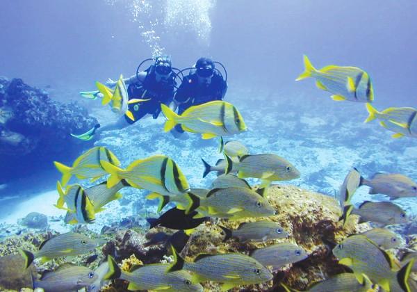 kaleidoscopic marine life are a real attraction here on Jordan's Red Sea coast line. Why not undertake some scuba diving or snokelling?