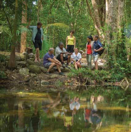 National parks social media: NPSR has developed a social media strategy to extend and improve engagement with consumers about Queensland s national parks and wildlife experiences.