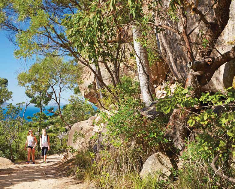 5. Promoting Queensland s world class ecotourism experiences Nature and wildlife and the special experiences they afford are a significant element of Queensland s visitor offering.