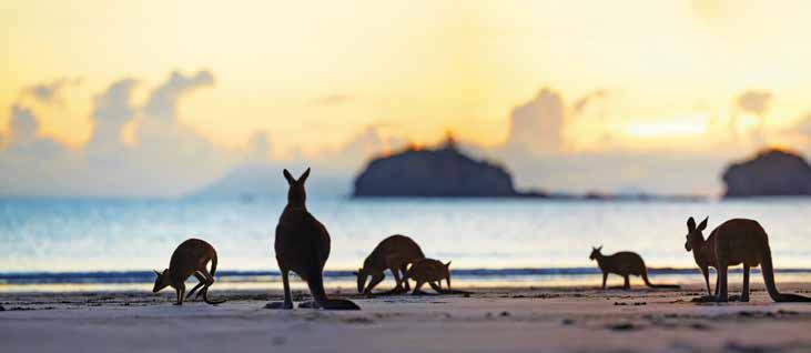 Queensland Ecotourism Plan 2016 2020 Executive summary The Queensland Ecotourism Plan 2016 2020 (the plan) responds to the changes and challenges impacting the tourism industry and presents a fresh