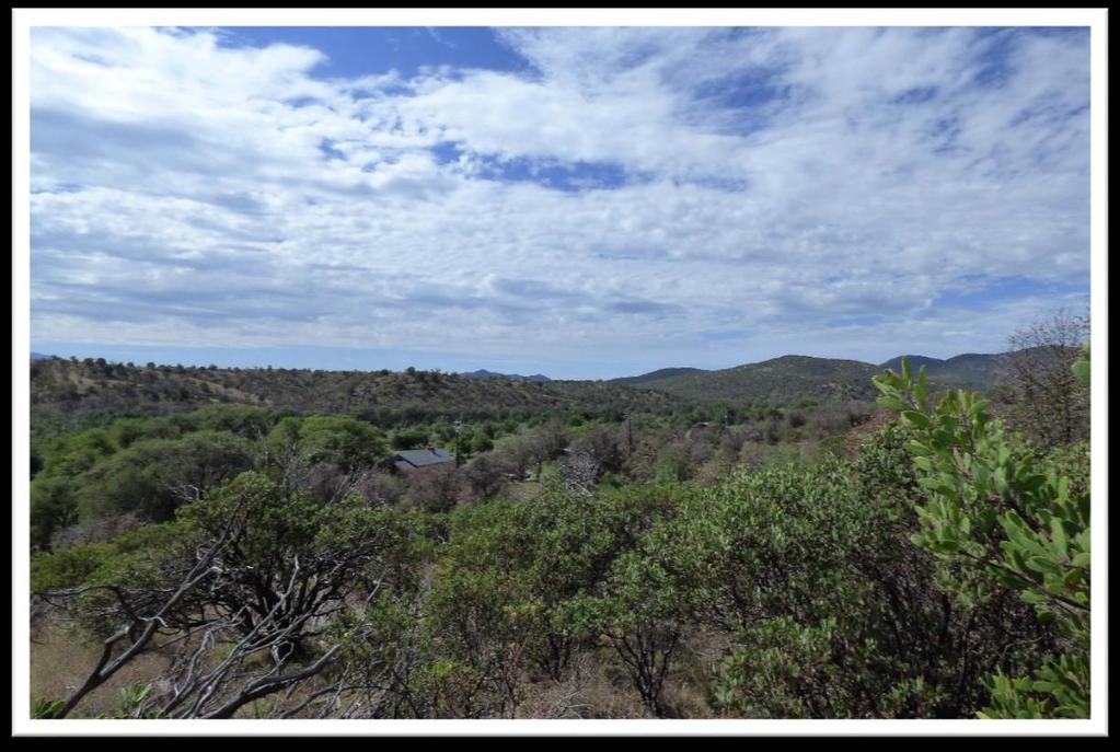 Location Lying along Turkey Creek, the Umpire Ranch is located in an area locally referred to as Canelo, or the Canelo Hills.