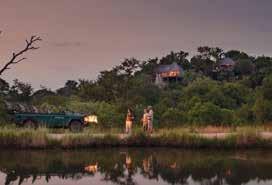 En-route to Kings Camp from Leopard Hills, you will be transferred to Elephant Whispers where you will be enthralled by a two-hour Ultimate