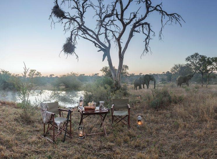 FREE An Exceptional Big 5 African Safari Experience Revel