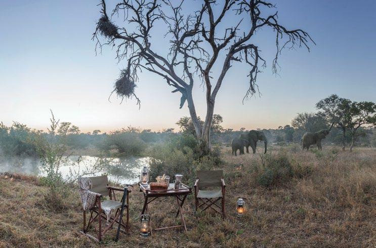 Safari Experience PERFECT FOR INTIMATE FAMILY AND FRIEND GETAWAYS &