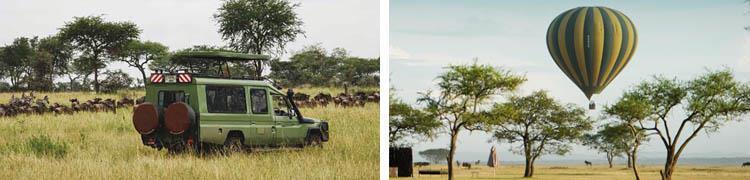 A day of game viewing usually consists of morning and afternoon game drives.
