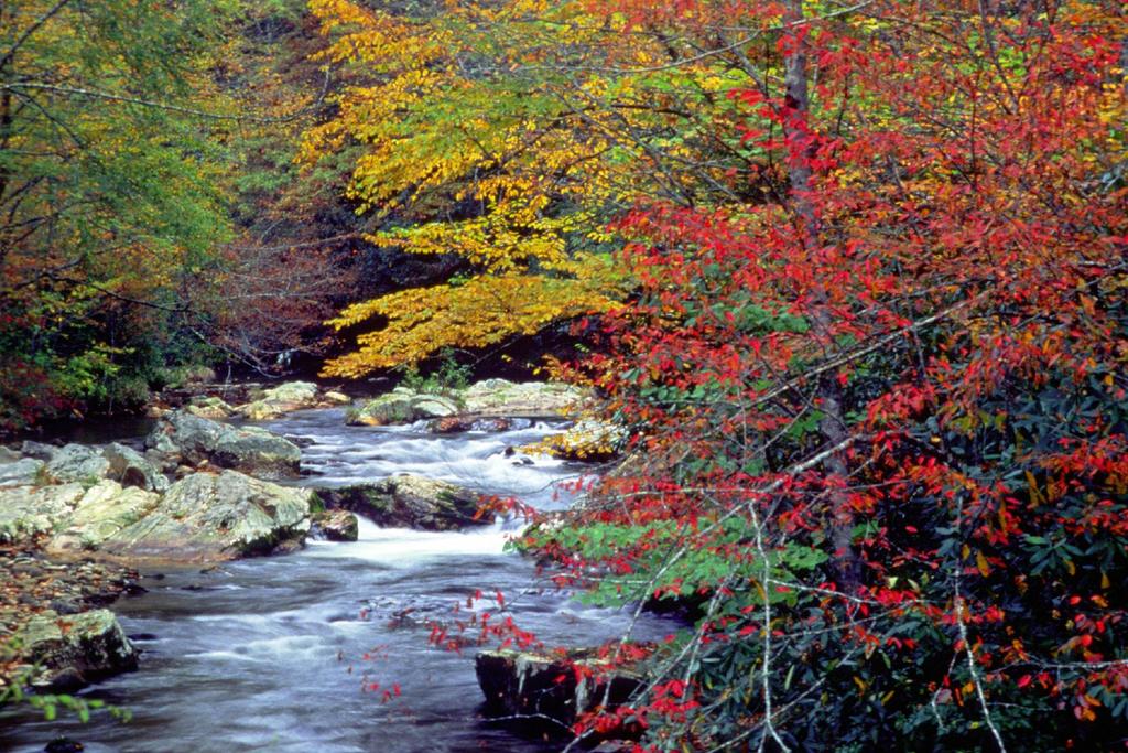 FALL IN THE GREAT SMOKIES OCTOBER 7-13, 2018 TRIP SUMMARY HIGHLIGHTS Being surrounded by the blazing glory of the leaves turning Rafting a fun section of the Pigeon River (suitable for women with no