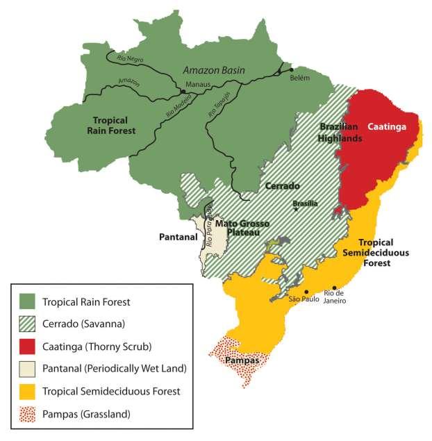 Figure 6.29 Natural Vegetation of Brazil The immense area of the tropical rain forest can be seen on this map.