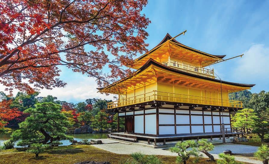 Kinkaku-ji Temple, Kyoto The trip of a lifetime! Come and see the amazing textile delights of Japan together with visits to some iconic tourist attractions.