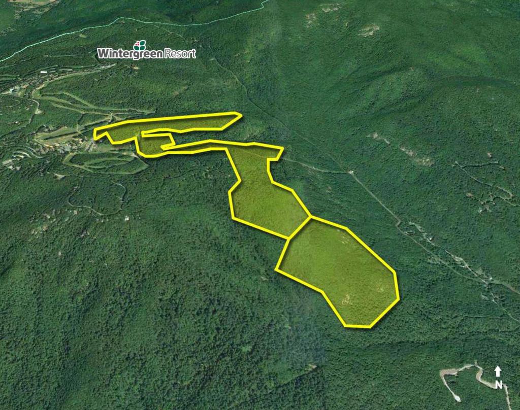 Cushman & Wakefield Thalhimer is pleased to offer a rare opportunity to own a mountain top in beautiful Nelson County, Virginia.