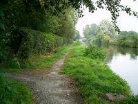 Image 9: The poor quality towpath on the west of the Shroppie looking north towards bridge