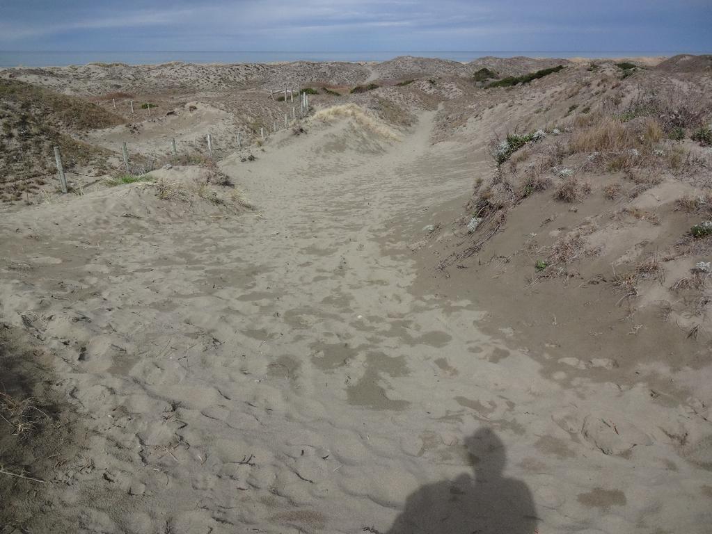 Figure 6. Photo of Beach Access trail across MCSD property.