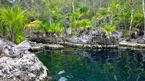 This famous well is a cenote, a flooded cave whose roof collapsed hundreds of years ago giving place to a small