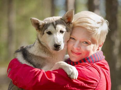 Optional activities: Husky therapy Kennel tour is very easy way to meet huskies and learn lots of new information about these friendly and hardworking husky dogs.