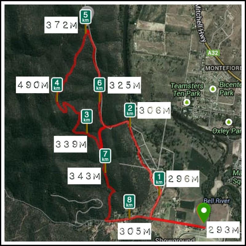 The 5km Wallaby Run - a less challenging 5km race suitable for both experienced trail runners and novices, which avoids the steeper sections of the Wedgetail Challenge course.