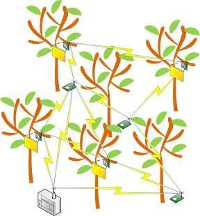 Uvod Slika 1: Organizacija mreže osjetila u masliniku [6] Slika 2: Povezivanje mreža osjetila na širem području
