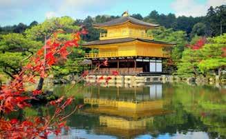 Golden Pavilion Kiyozmizu Temple Kyoto Tokyu Hotel Day 12 (Cont.