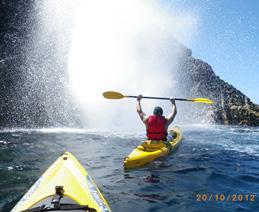 They are easy to paddle & no previous experience is needed, however you will need a reasonable level of fitness for this 3½ hour (approx.) tour.