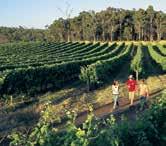 10 2 DAY MARGARET RIVER GETAWAY DAY 1 FOOD AND WINE EXPERIENCE Day 1 Perth to Margaret River Wine Region Departs: Daily April & September - March 8:00am May August Mon, Thu & Fri from Perth at