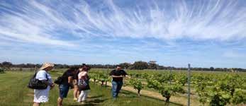 The Food Lovers tour gives the opportunity to savour wine tastings in a tranquil and intimate fashion at a range of remarkable boutique and 5-star wineries.