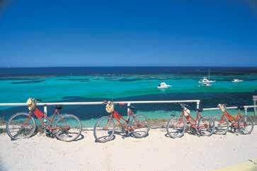ROTTNEST ISLAND - FERRY INCLUSIVE TOURS 17 INCLUSIVE TOUR FREE WHEELING Discover Rottnest Ferry Departs: Daily at various times Ferry Returns: Various Explore the beauty and tranquillity of Rottnest