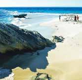 This 90 minute circumnavigation of the island takes you out to some of Rottnest s most spectacular locations and provides you with a complete interpretation of the island via a passionate and